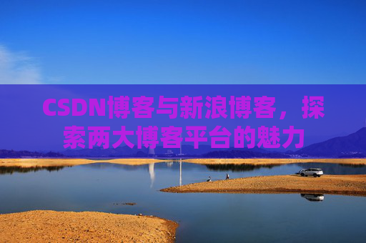 CSDN博客与新浪博客,探索两大博客平台的魅力