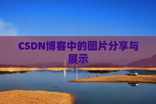 CSDN博客中的图片分享与展示